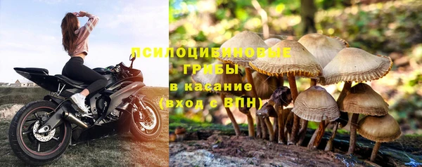 гашиш Арсеньев